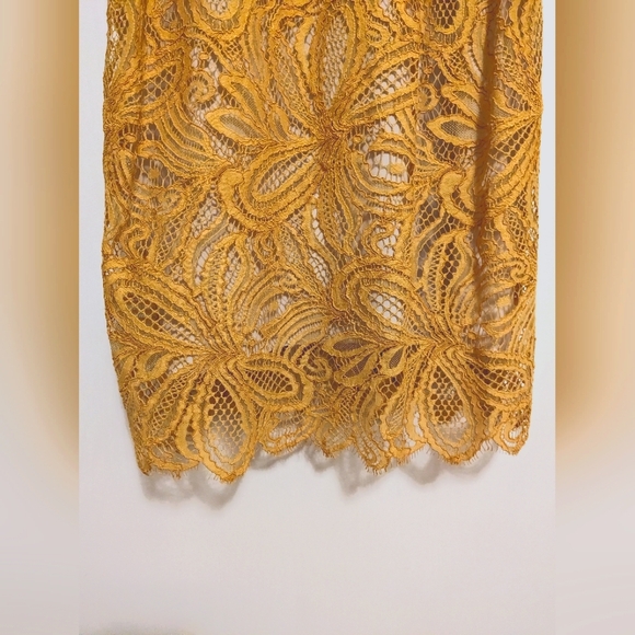 Babaton Henry Lace Dress Size 6 - Picture 5 of 5